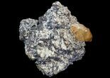 Sphalerite and Calcite - Elmwood Mine, Tennessee #89963-1